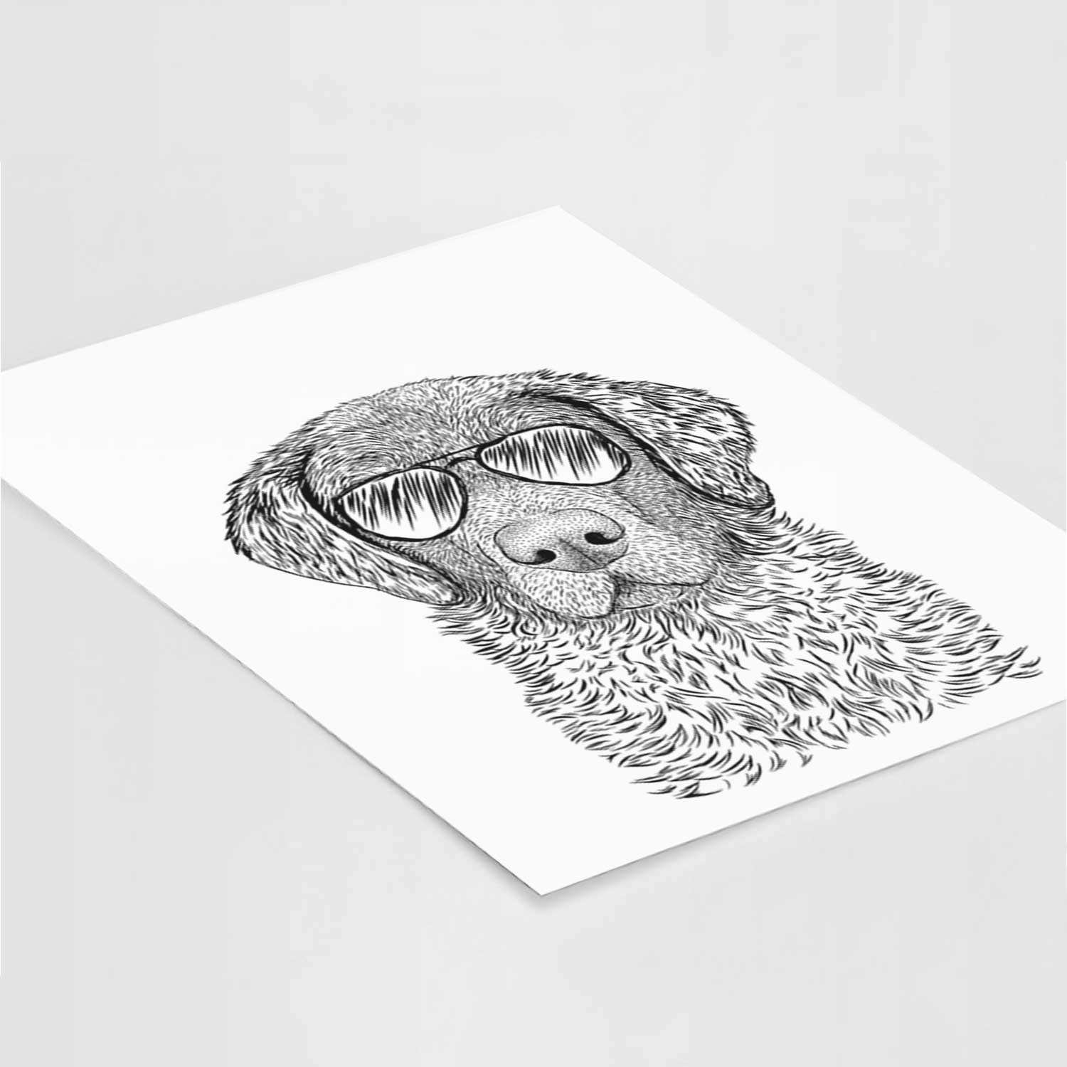 Whiskey the Chocolate Lab Art Print