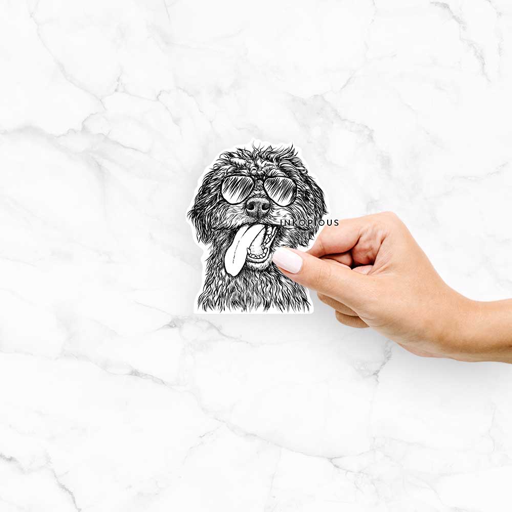 Hand-drawn sketch of Winnie the Mini Aussiedoodle wearing aviator sunglasses on a decal sticker