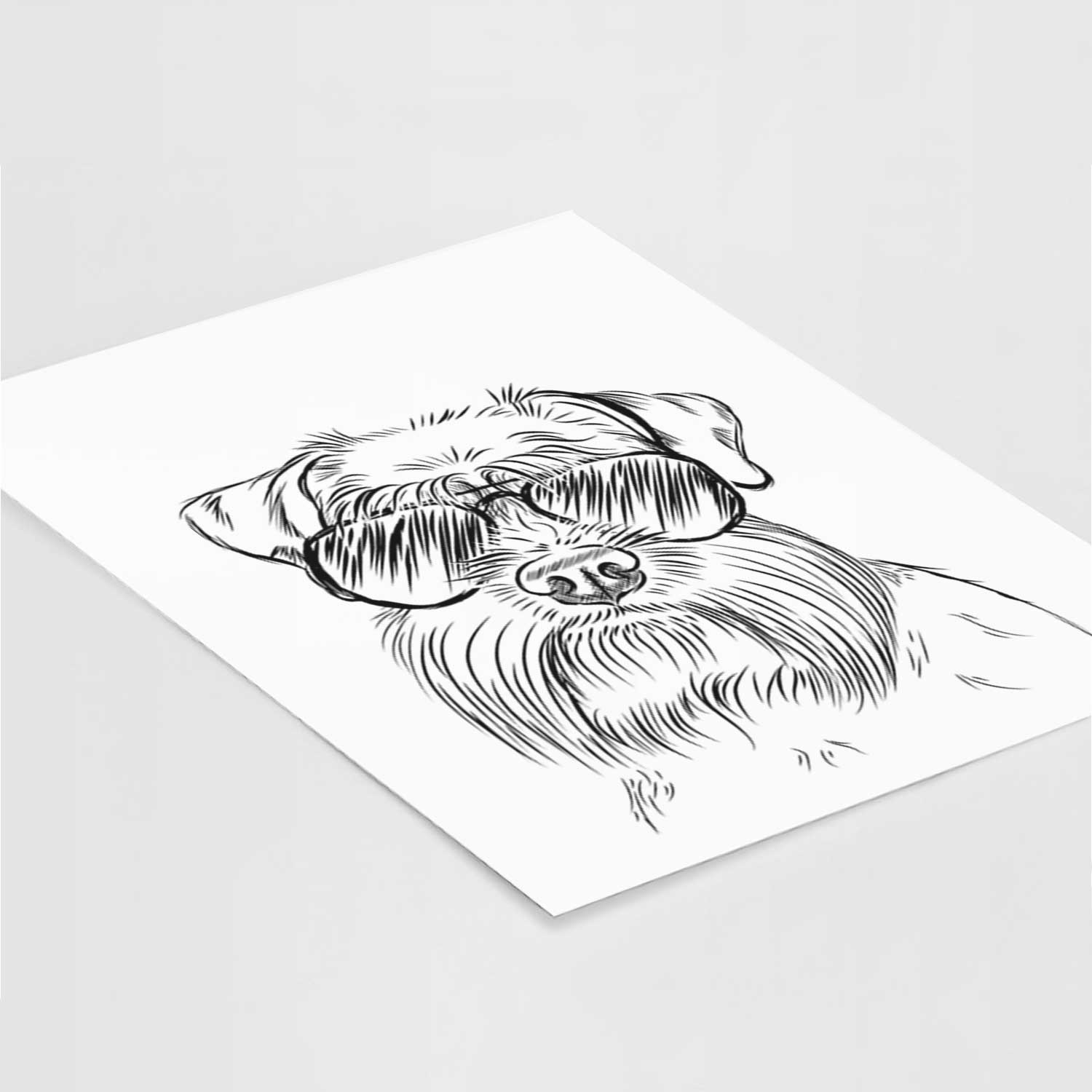 Wrigley the Schnauzer Art Print