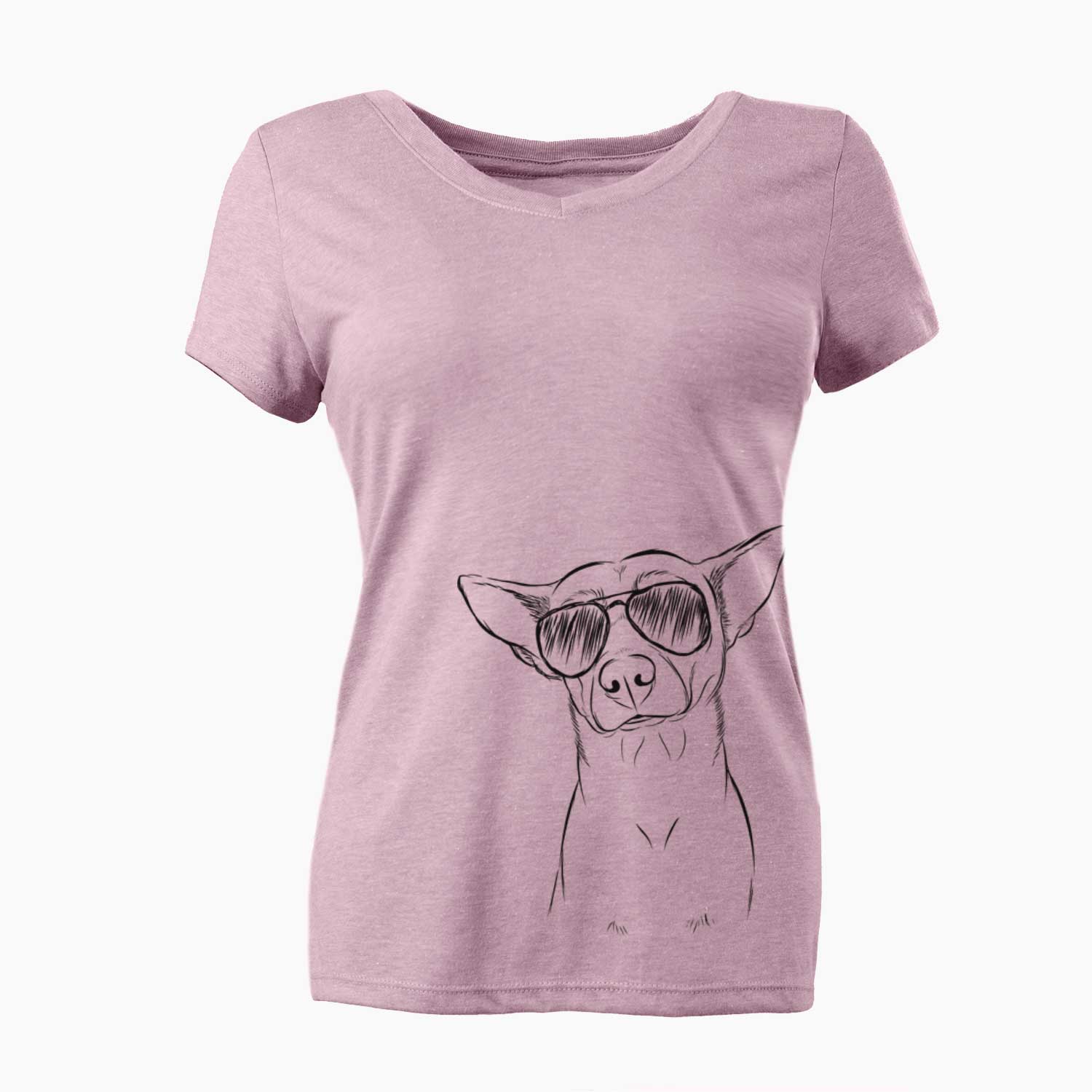 Aviator Yogi the Mixed Breed - Women's V-neck Shirt