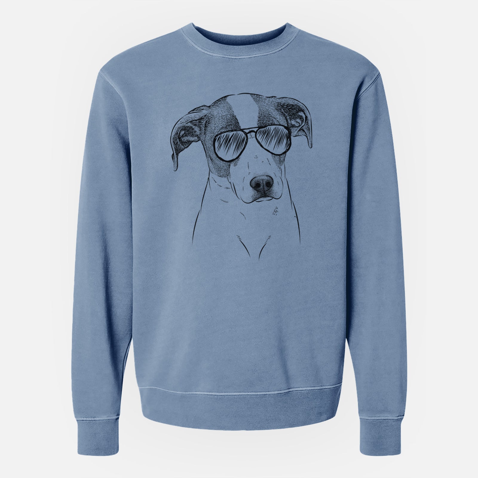 Aviator Zephyr the Pointer Mix - Unisex Pigment Dyed Crew Sweatshirt