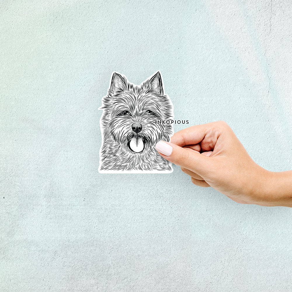 Hand-drawn sketch of Alfie the Norwich Terrier on a Sticker decal sticker