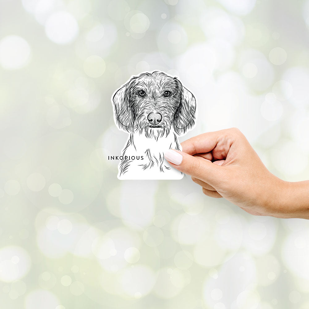 Hand-drawn sketch of Almond the Wirehaired Dachshund on a Sticker decal sticker