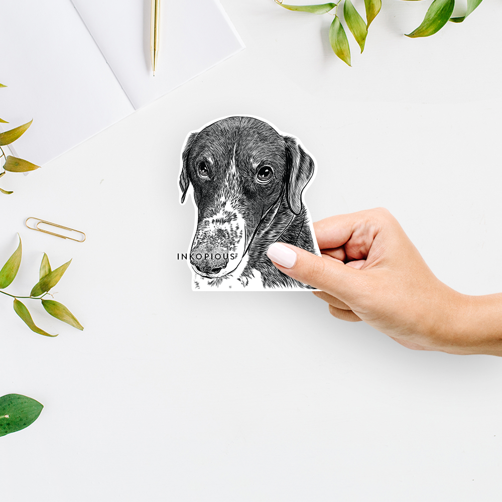 Hand-drawn sketch of Angel Orion the Mixed Breed on a decal sticker