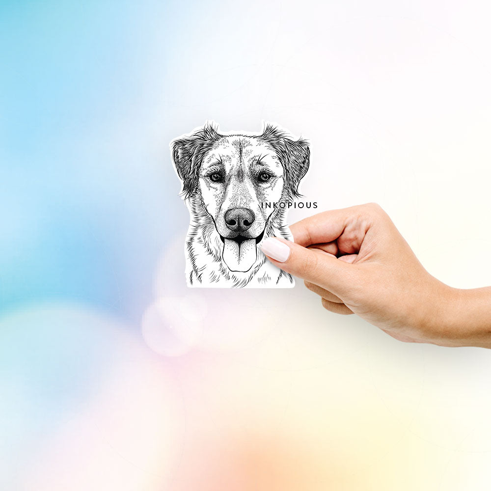 Hand-drawn sketch of Apollo the Mixed Breed on a decal sticker