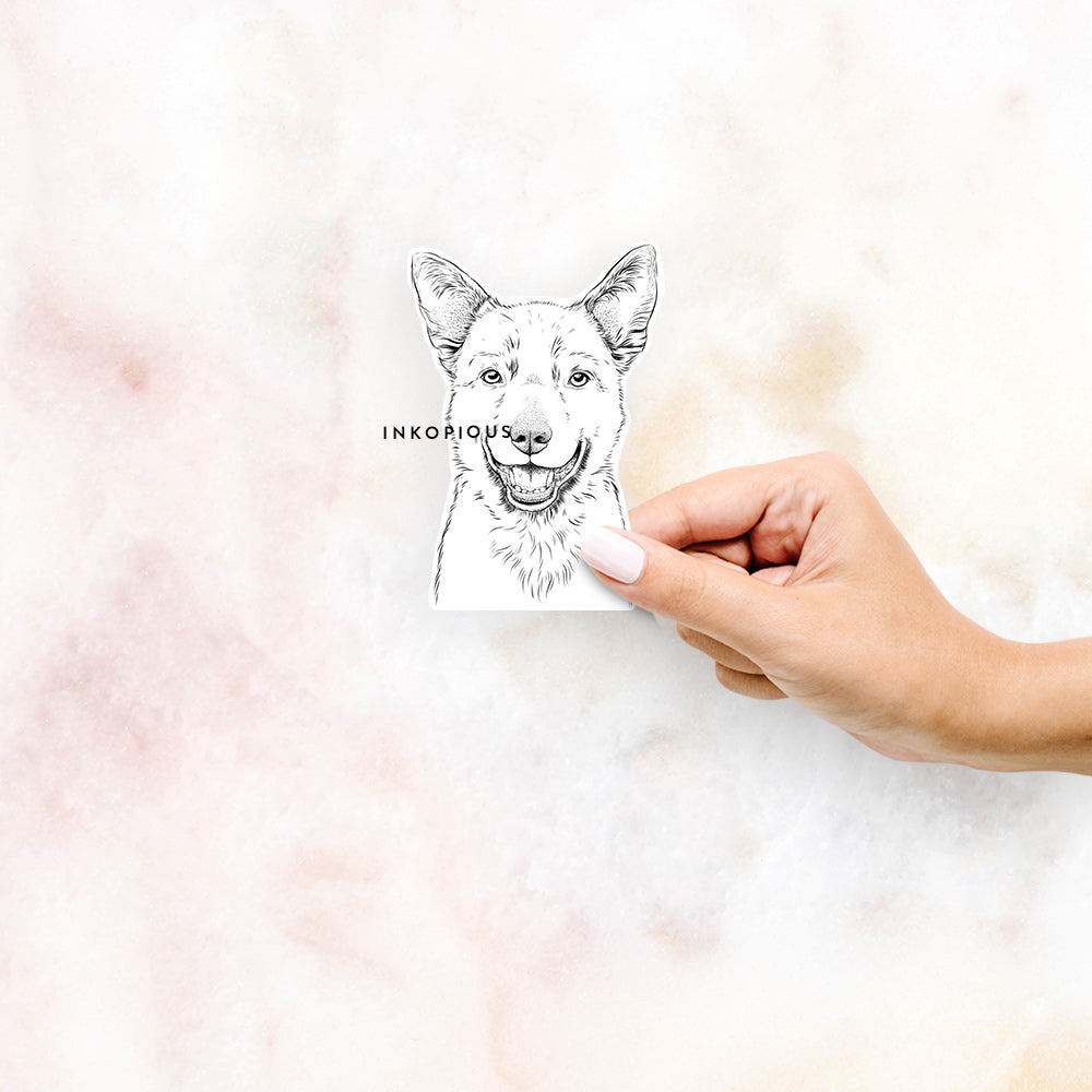 Hand-drawn sketch of Arden the Australian Kelpie on a decal sticker