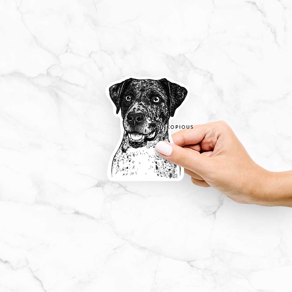 Hand-drawn sketch of Argos the Catahoula on a decal sticker