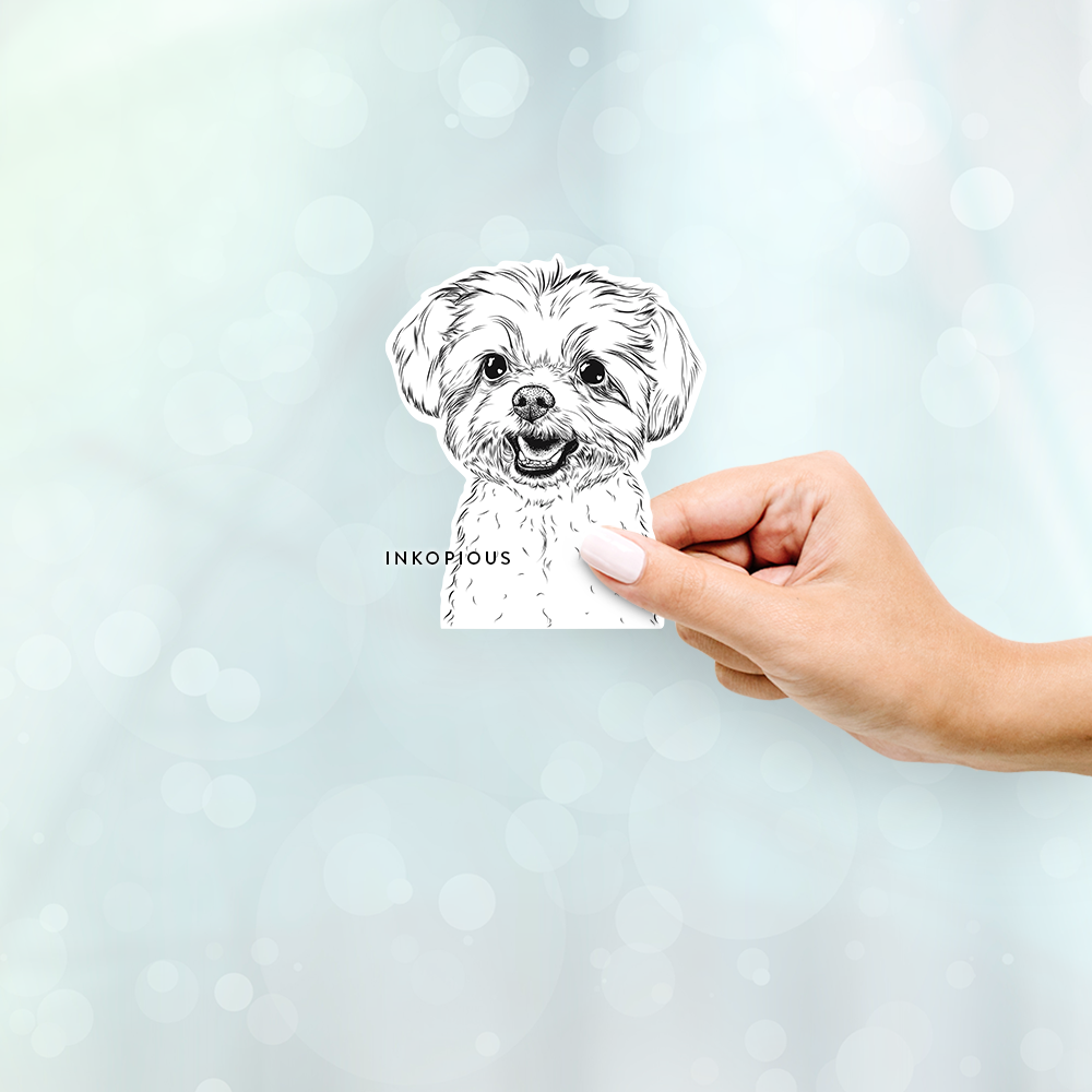 Hand-drawn sketch of Aspen the Morkie on a decal sticker