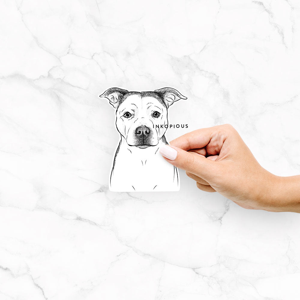 Hand-drawn sketch of Bailey the Pitbull on a Bailey Pit decal sticker