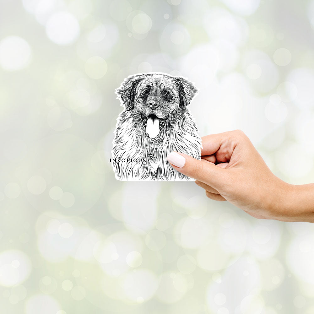 Hand-drawn sketch of Bamboo the Leonberger on a Sticker decal sticker