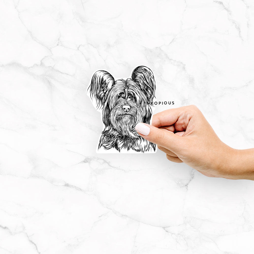 Hand-drawn sketch of Bandit the Skye Terrier on a Bandit Skye Terrier decal sticker