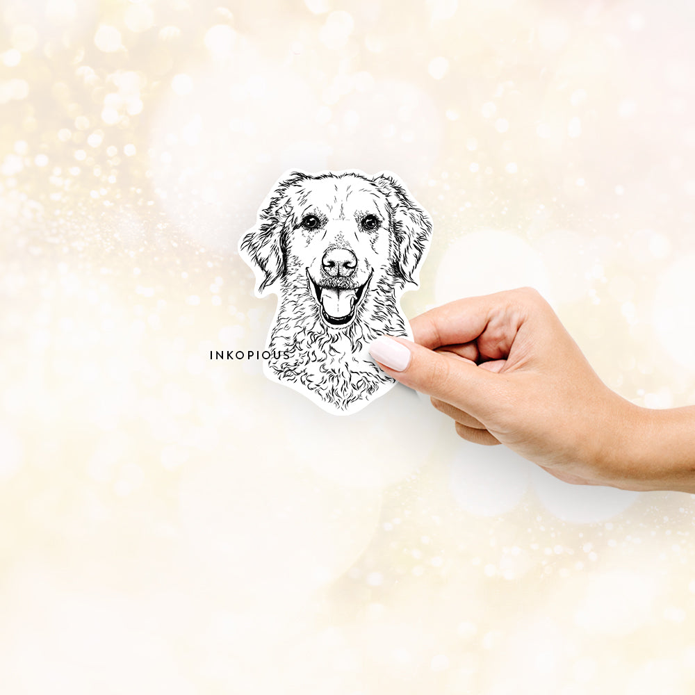 Hand-drawn sketch of Bella Bean the Goldendoodle on a Sticker decal sticker