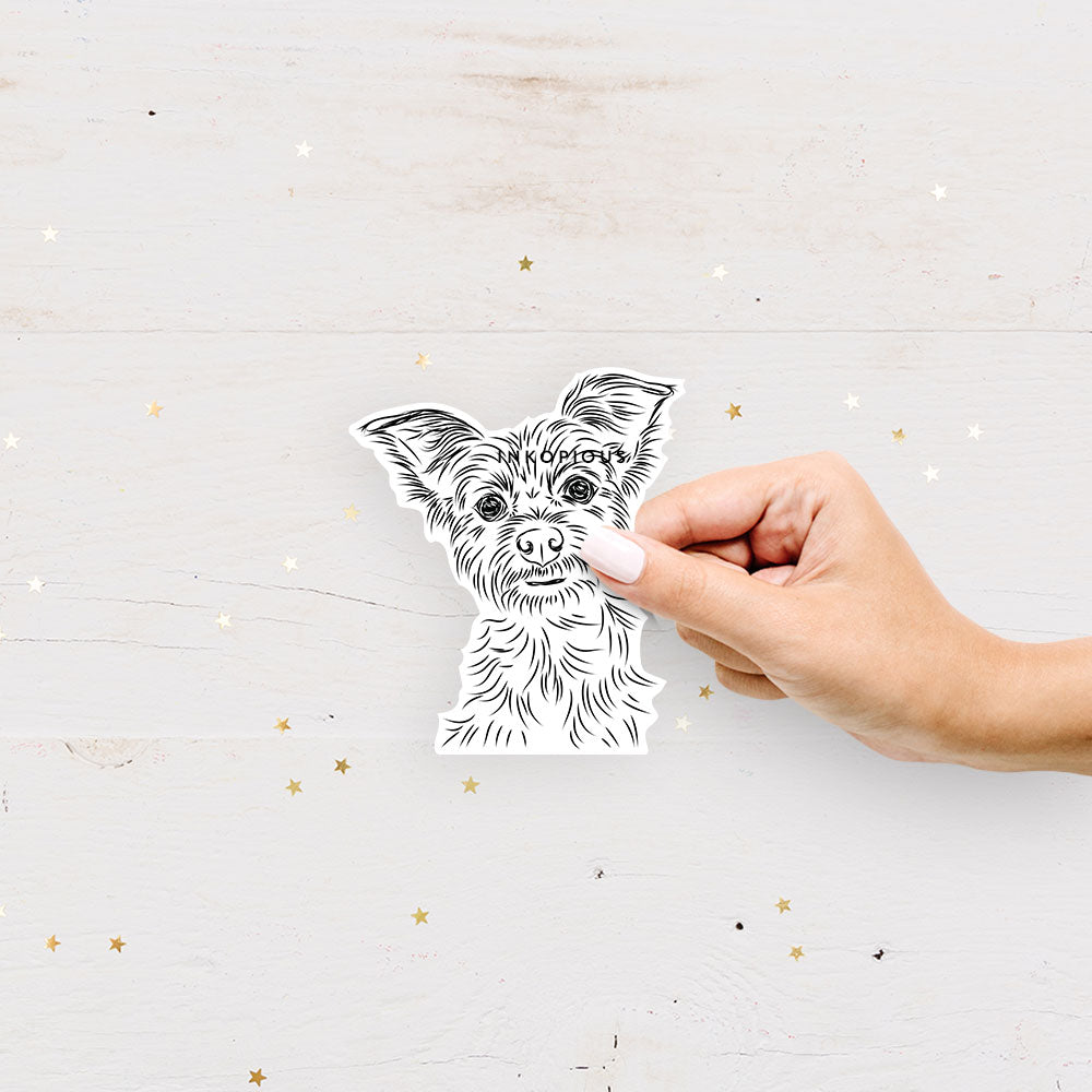 Hand-drawn sketch of Bingo the Yorkshire Terrier on a decal sticker