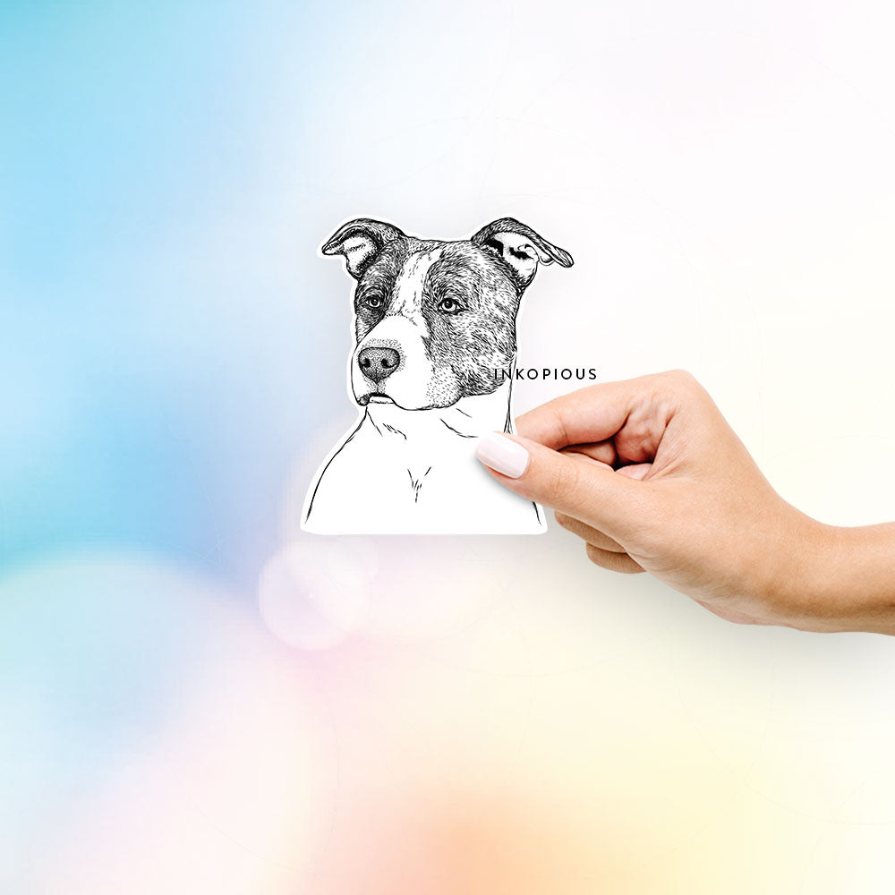 Hand-drawn sketch of Blu the Pitbull on a decal sticker