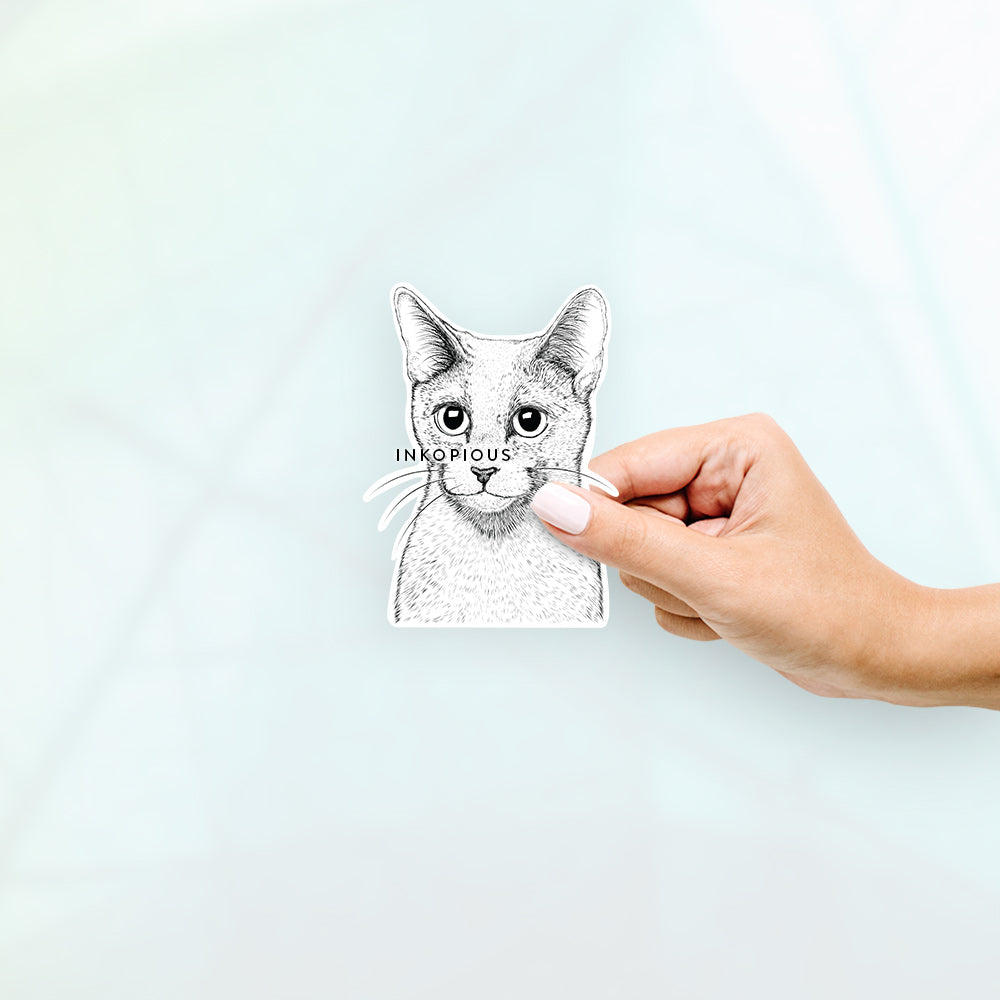 Hand-drawn sketch of Blue the Russia Blue Cat on a decal sticker
