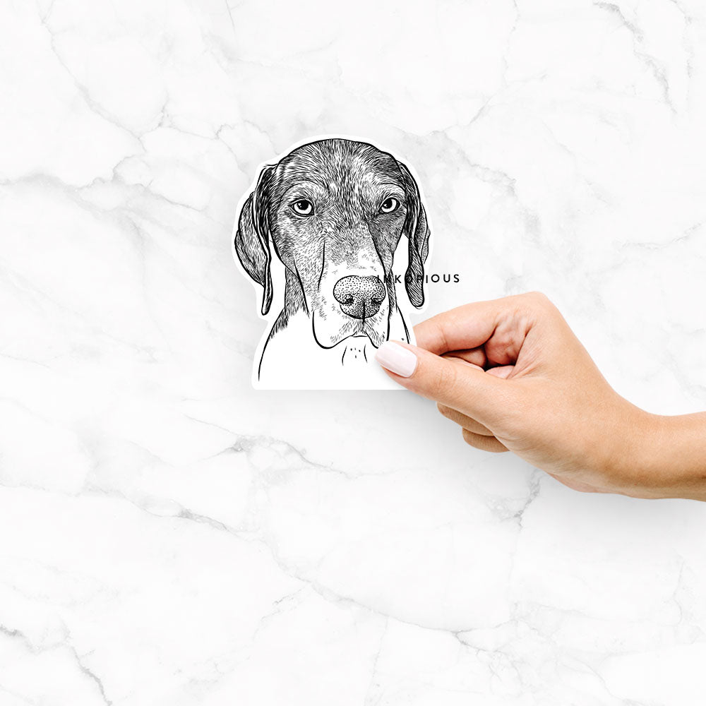 Hand-drawn sketch of Bohdi the German Shorthaired Pointer on a Bohdi GSP decal sticker