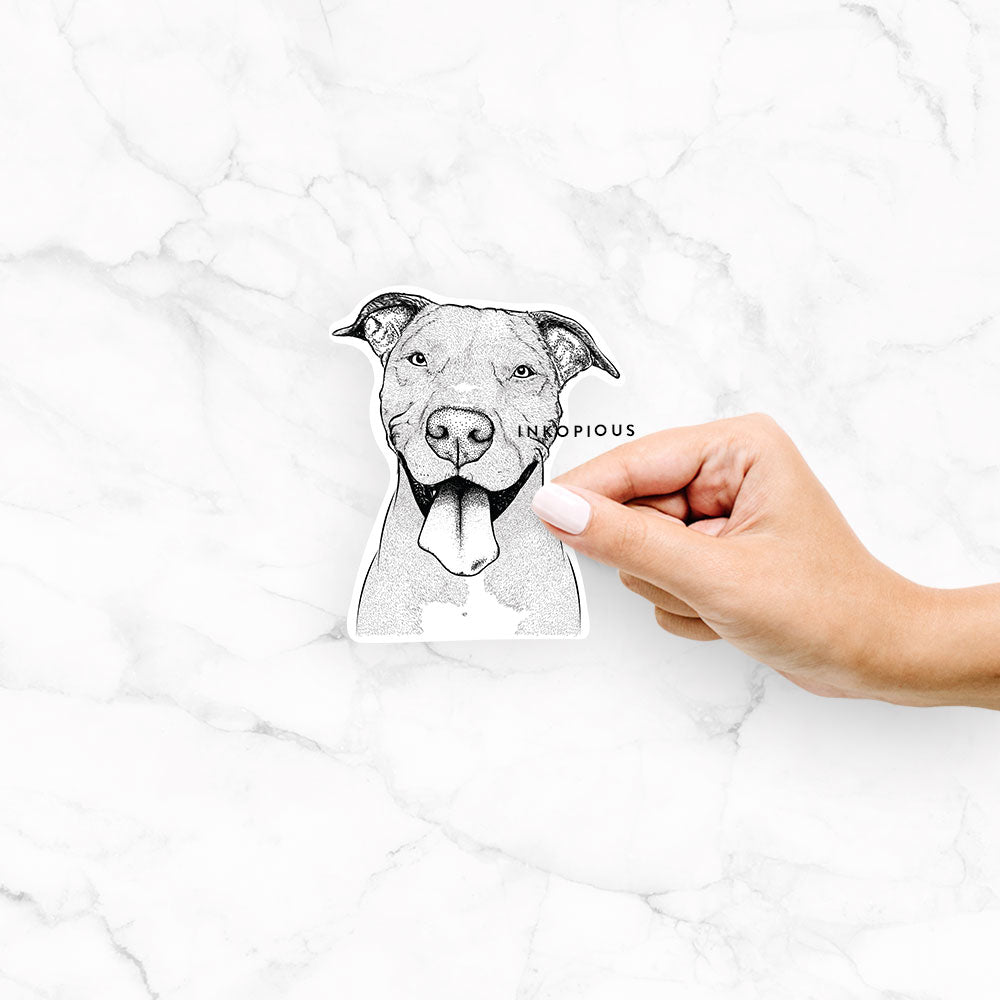 Hand-drawn sketch of Bruce the American Staffordshire Terrier on a Bruce Am Staff decal sticker