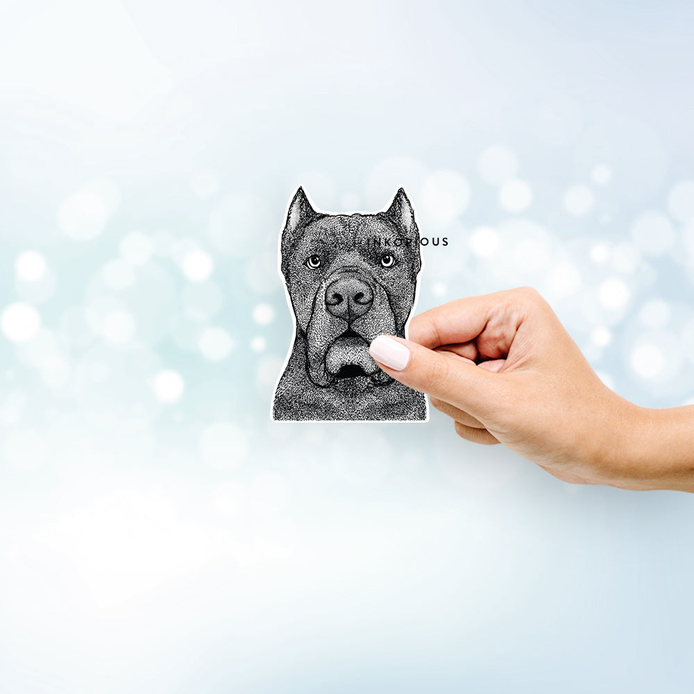 Hand-drawn sketch of Bruno the Cane Corso on a decal sticker