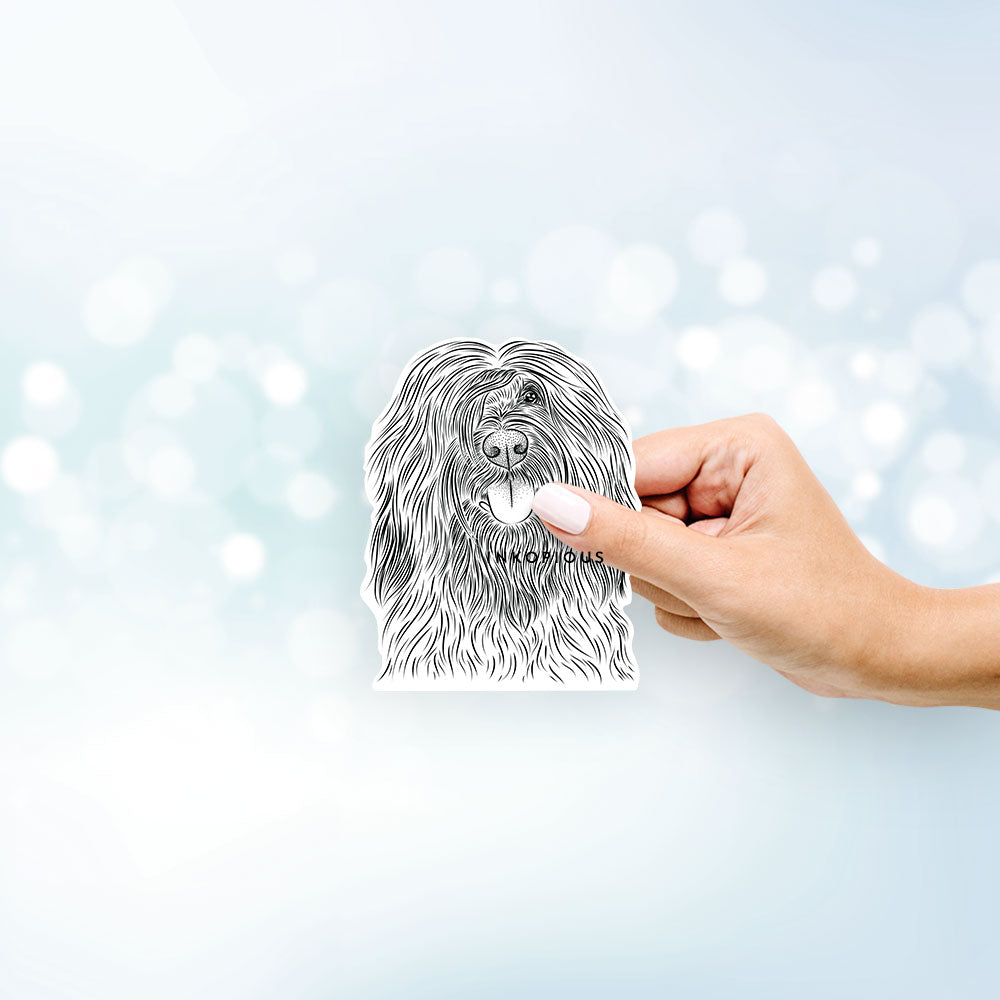 Hand-drawn sketch of Bundy the Briard on a decal sticker