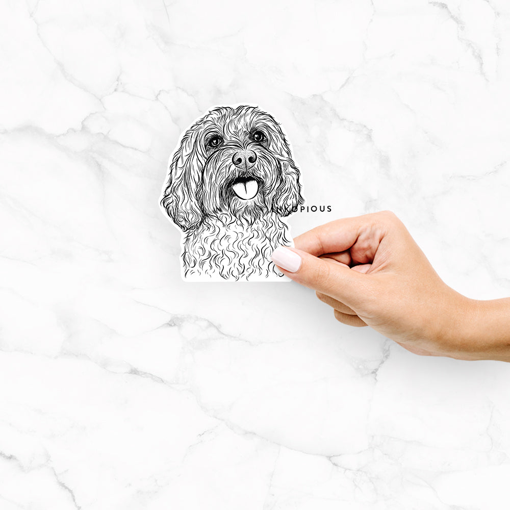 Hand-drawn sketch of Cali the Cavapoo on a Cali Cavapoo decal sticker