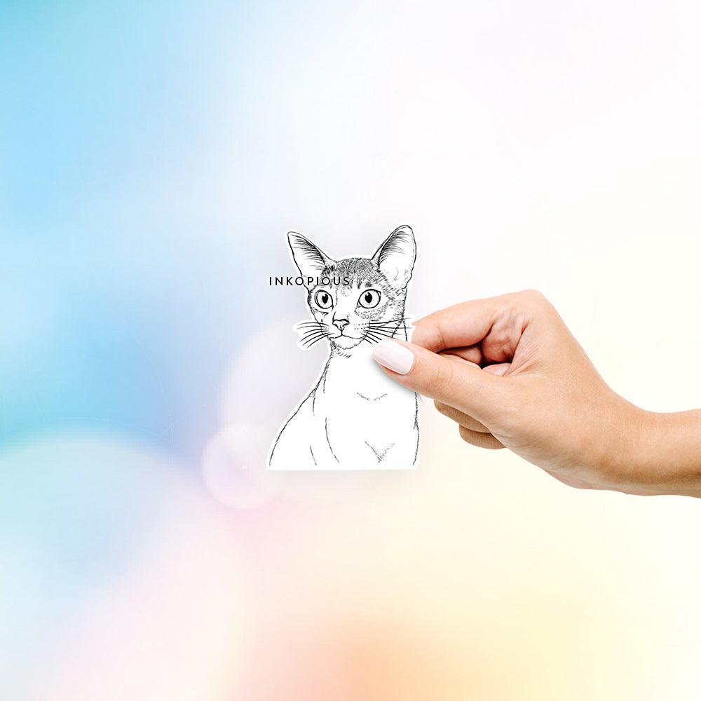 Hand-drawn sketch of Cedric the Abyssinian Cat on a decal sticker
