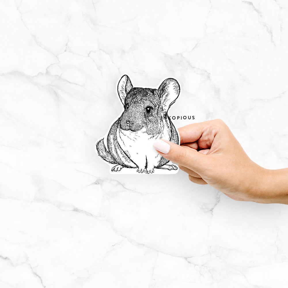 Hand-drawn sketch of Cheddar the Chinchilla on a Cheddar Chinchilla decal sticker