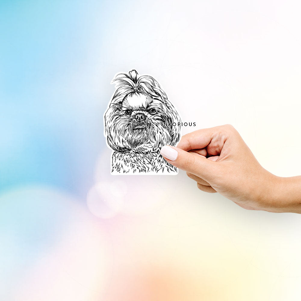 Hand-drawn sketch of Chewie the Shih Tzu on a decal sticker