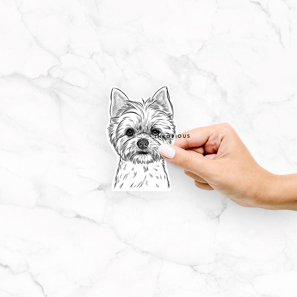 Hand-drawn sketch of Chewy the Yorkshire Terrier on a Chewy Yorkie decal sticker