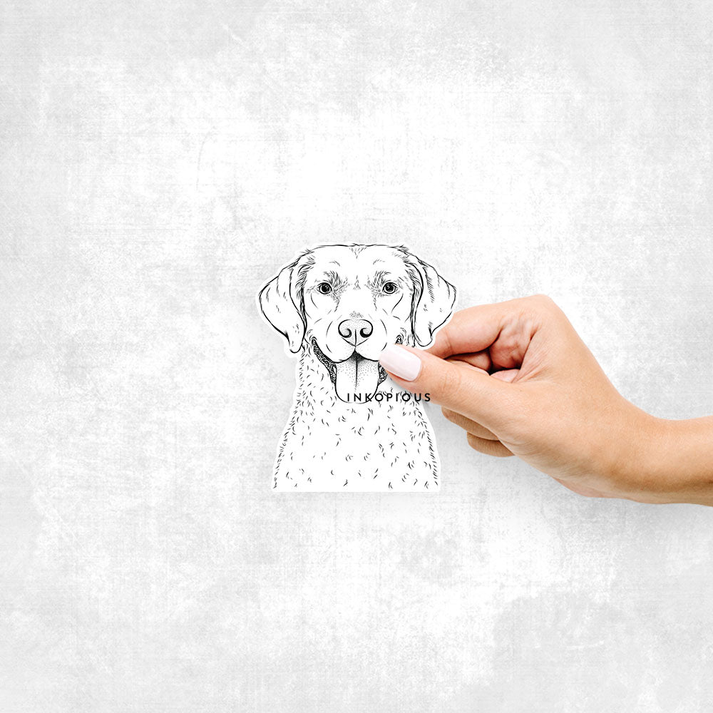 Hand-drawn sketch of Chip the Chesapeake Bay Retriever on a decal sticker