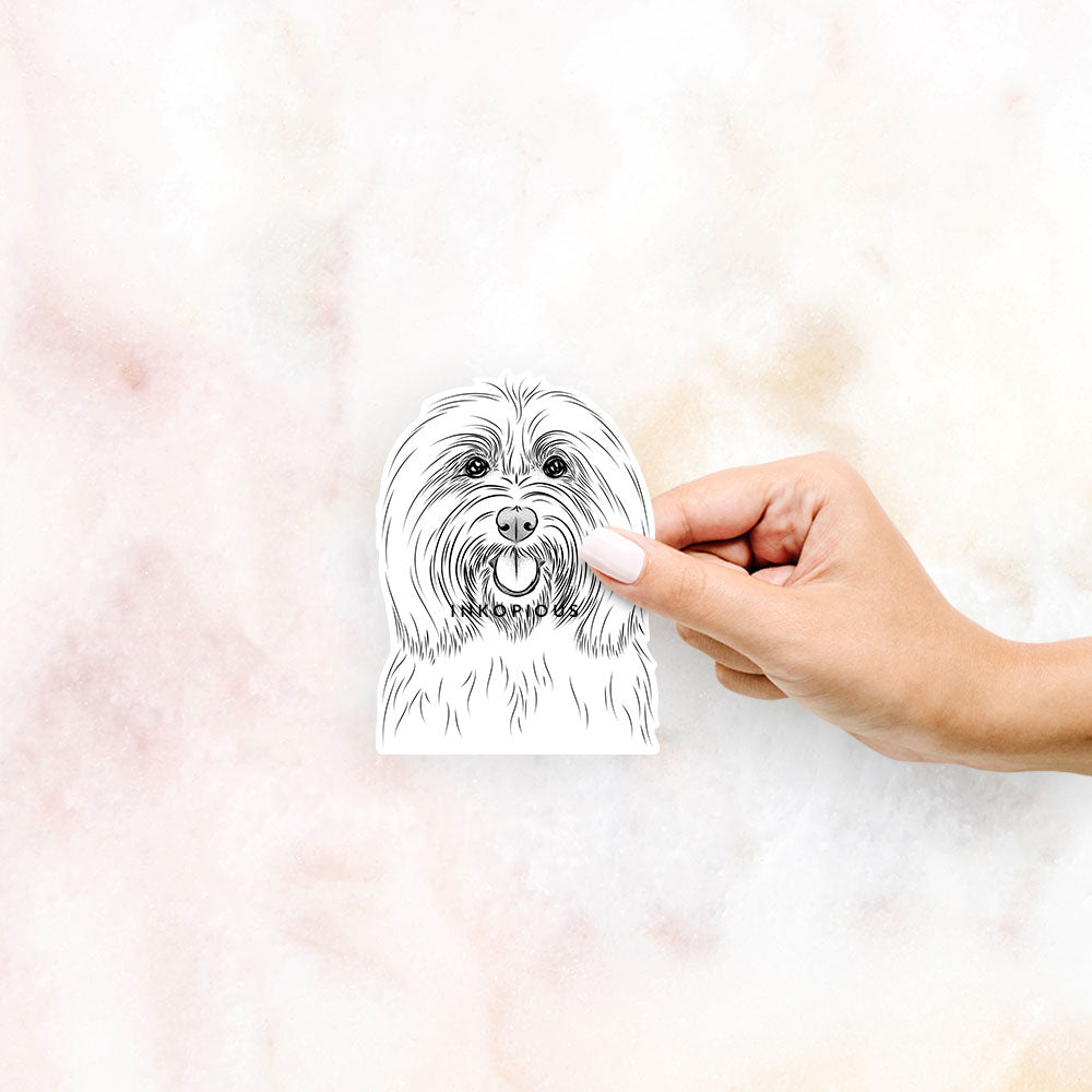 Hand-drawn sketch of Claude the Coton de Tulear on a decal sticker
