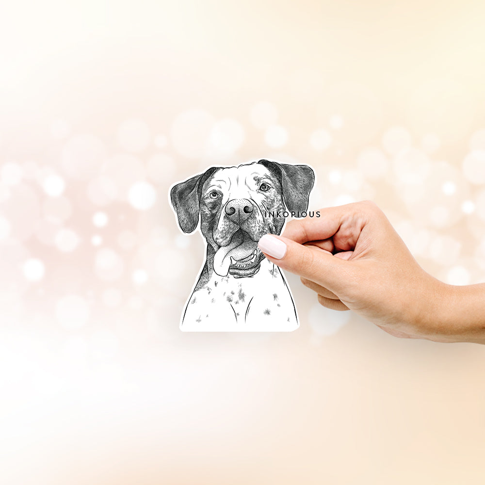 Hand-drawn sketch of Cola the Catahoula on a decal sticker