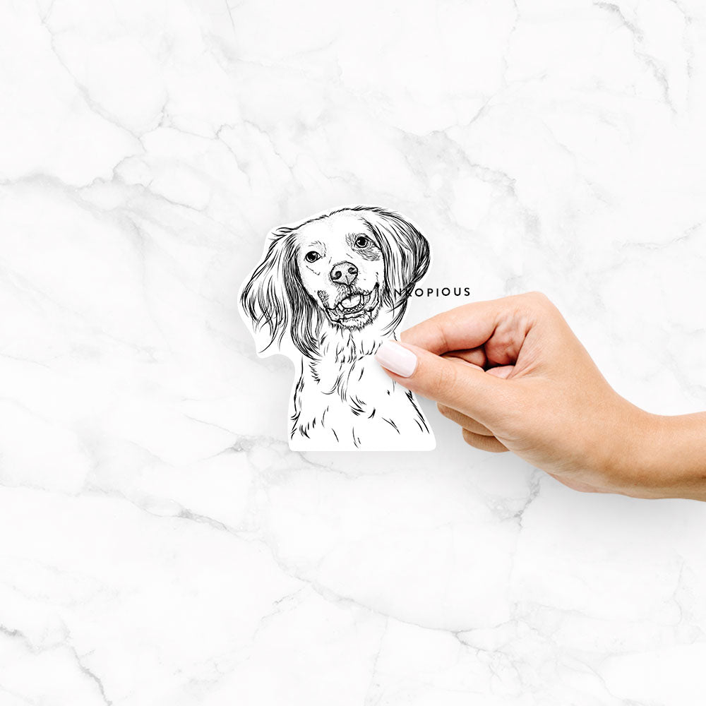 Hand-drawn sketch of Cooper the English Setter on a Cooper Eng Setter decal sticker