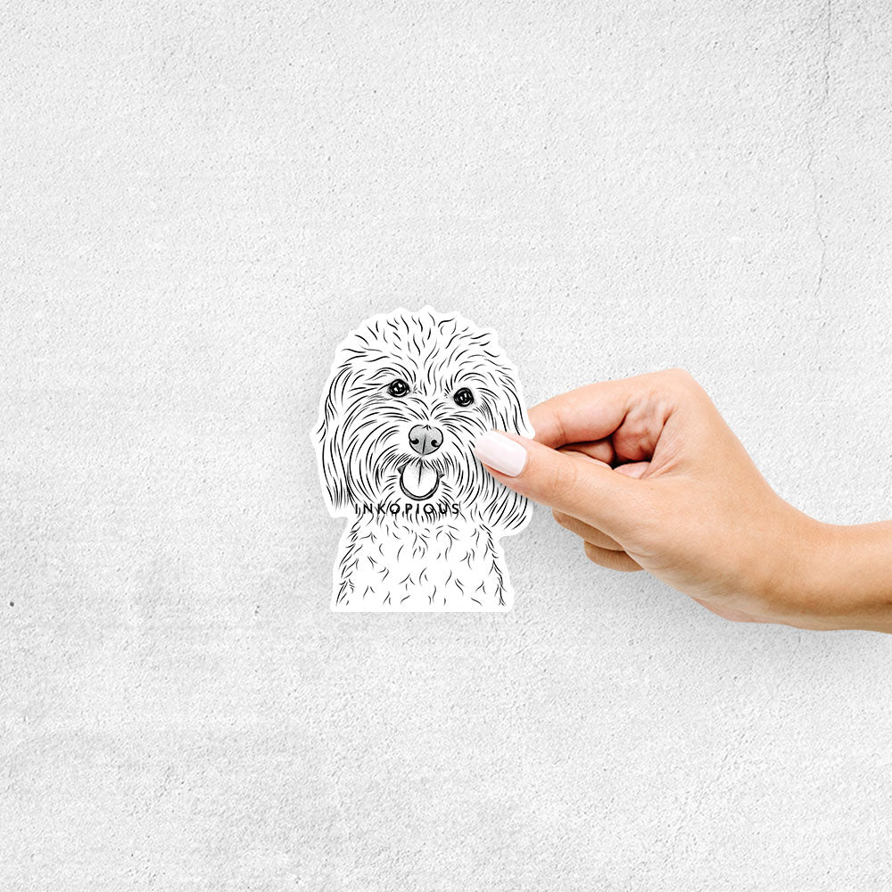 Hand-drawn sketch of Cuddles the Coton de Tulear on a decal sticker