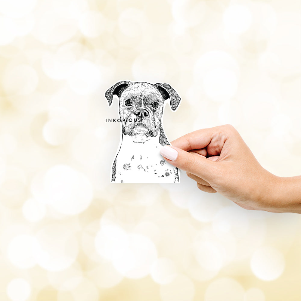 Hand-drawn sketch of Daisy the Boxer on a decal sticker