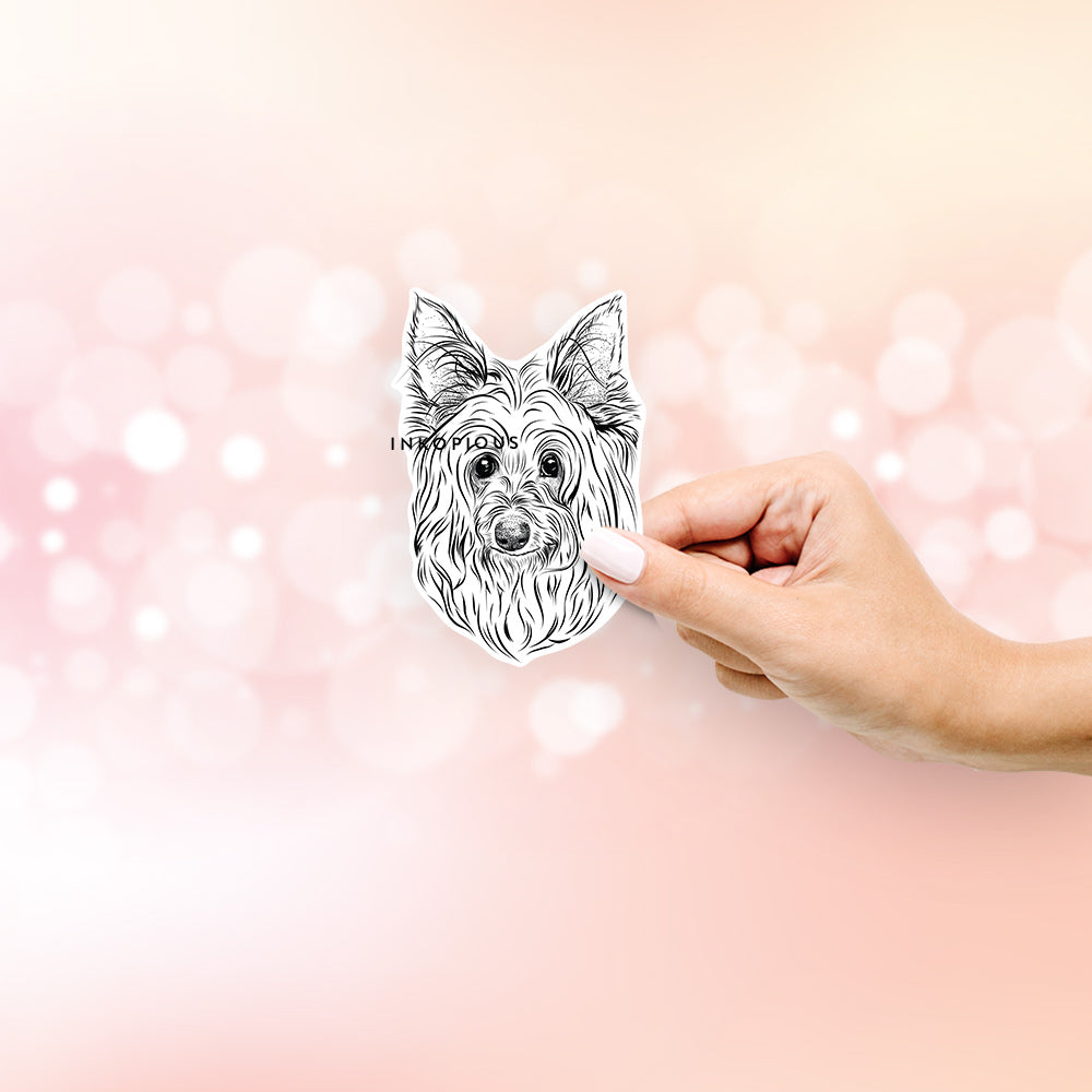 Hand-drawn sketch of Daisy May the Silky Terrier on a decal sticker