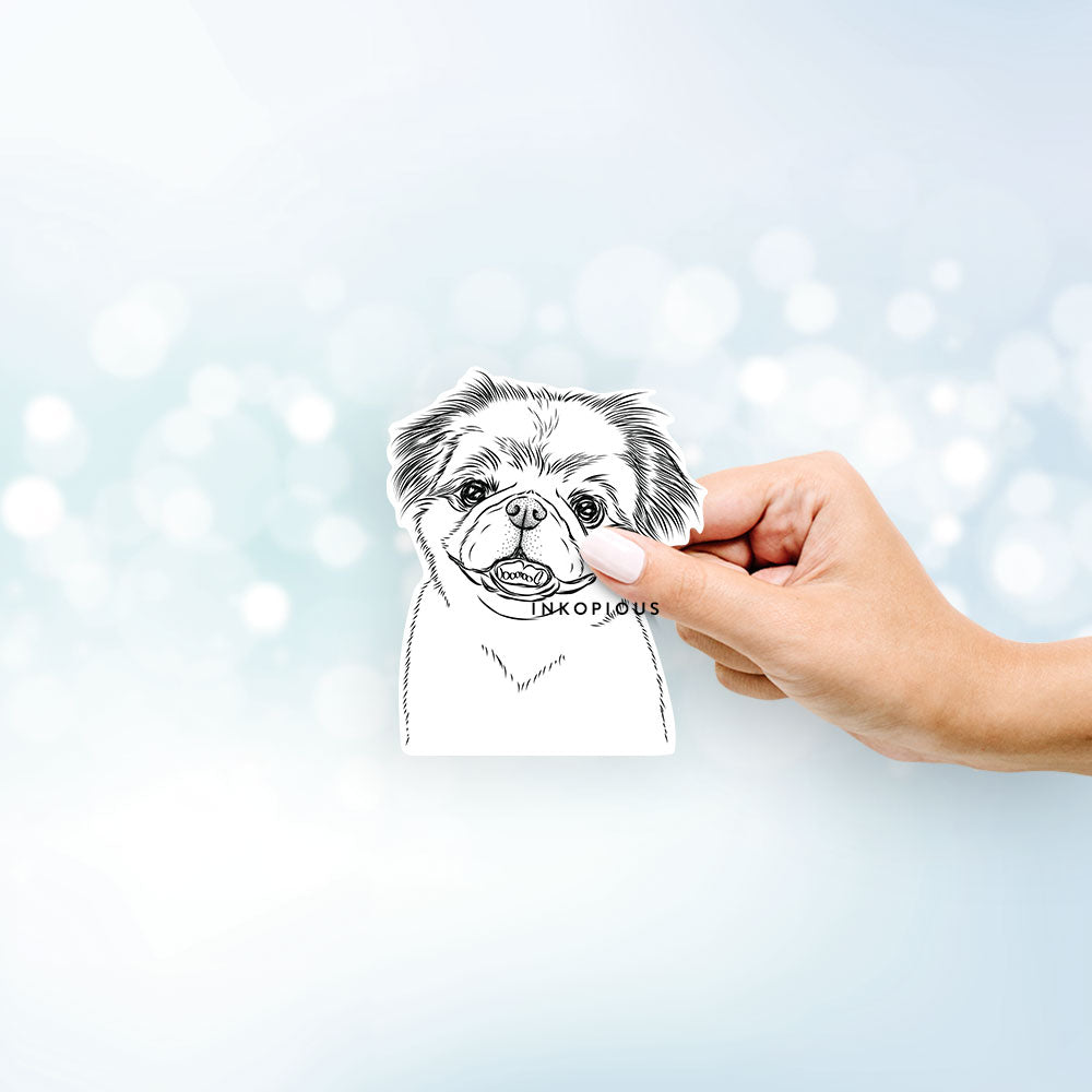 Hand-drawn sketch of Danny the Pekingese on a decal sticker