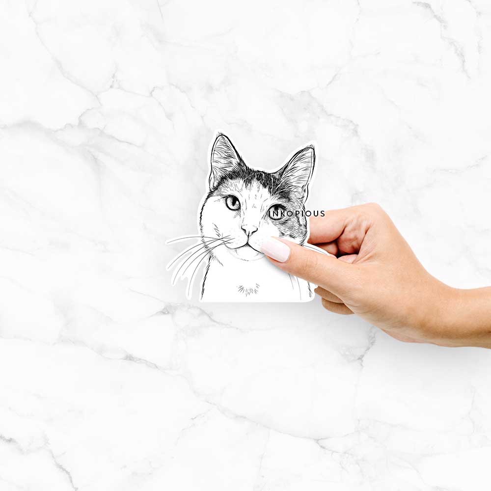 Hand-drawn sketch of Denver the Calico Cat on a Denver Calico decal sticker