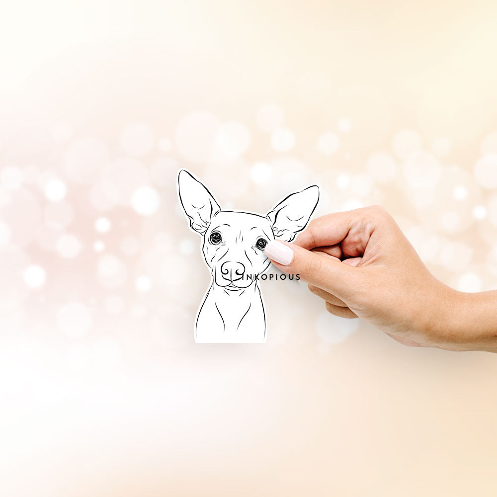 Hand-drawn sketch of Desi the American Hairless Terrier on a decal sticker
