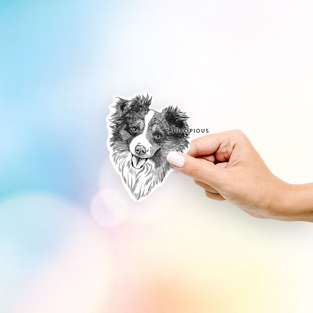 Hand-drawn sketch of Doc the Mini Aussie on a decal sticker
