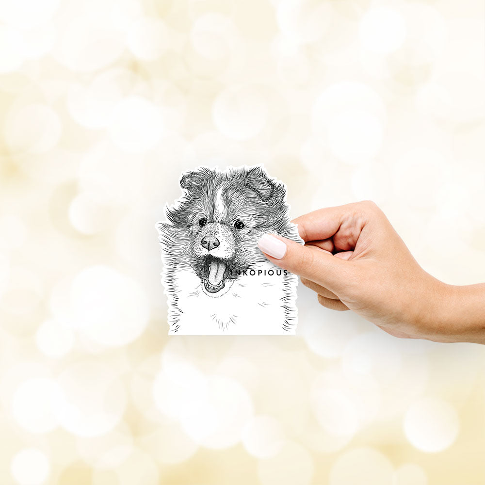 Hand-drawn sketch of Dylan the Shetland Sheepdog on a decal sticker