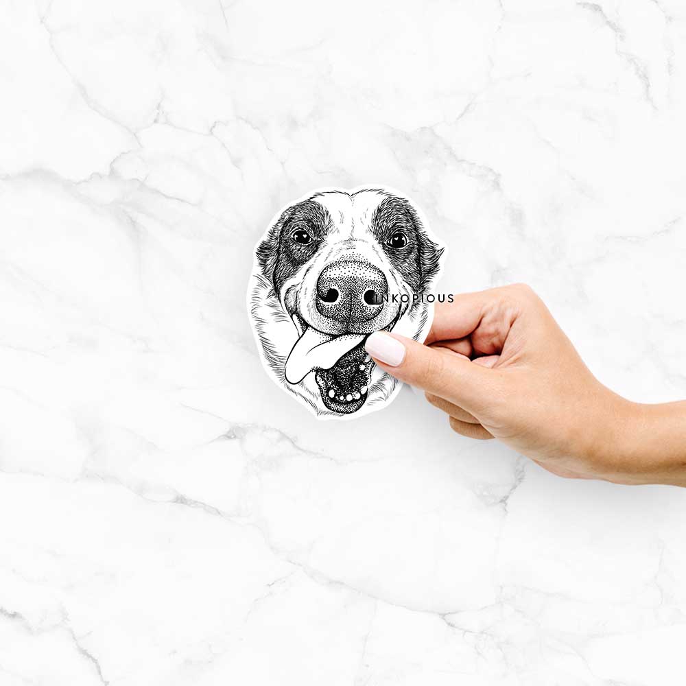 Hand-drawn sketch of Elwood the Border Collie on an Elwood BC decal sticker