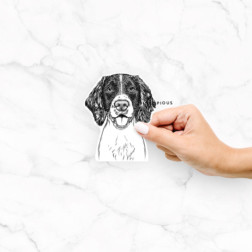 Hand-drawn sketch of Ever the English Springer Spaniel on an Ever ESS decal sticker