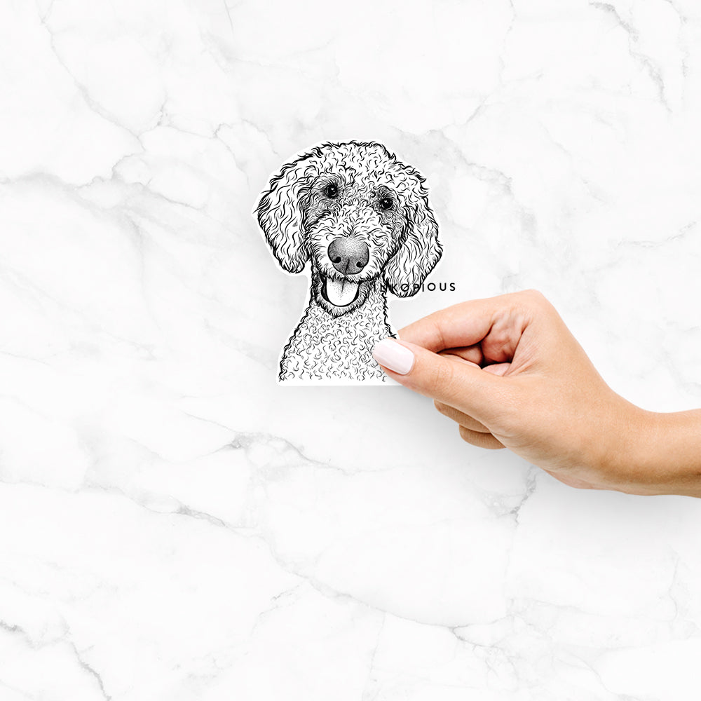 Hand-drawn sketch of Fenway the Goldendoodle on a Fenway Goldendoodle decal sticker