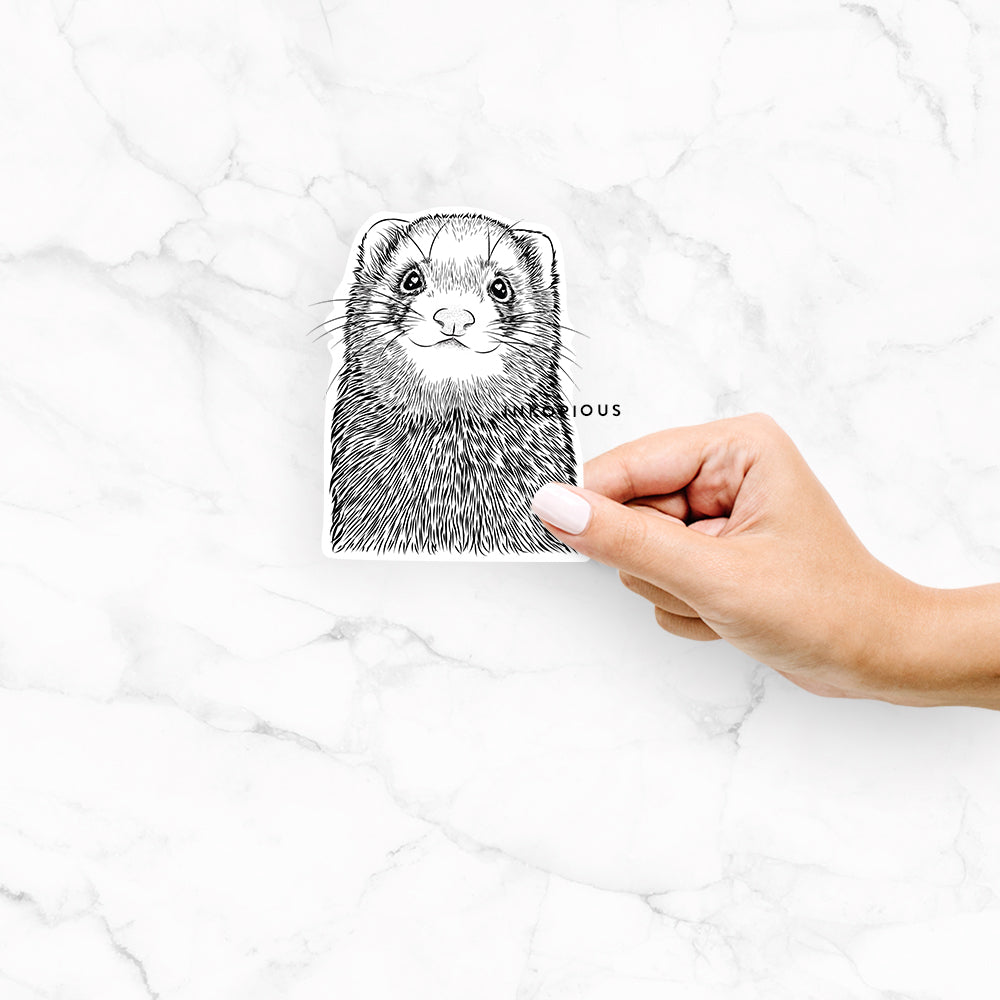 Hand-drawn sketch of Fig the Ferret on a Fig Ferret decal sticker