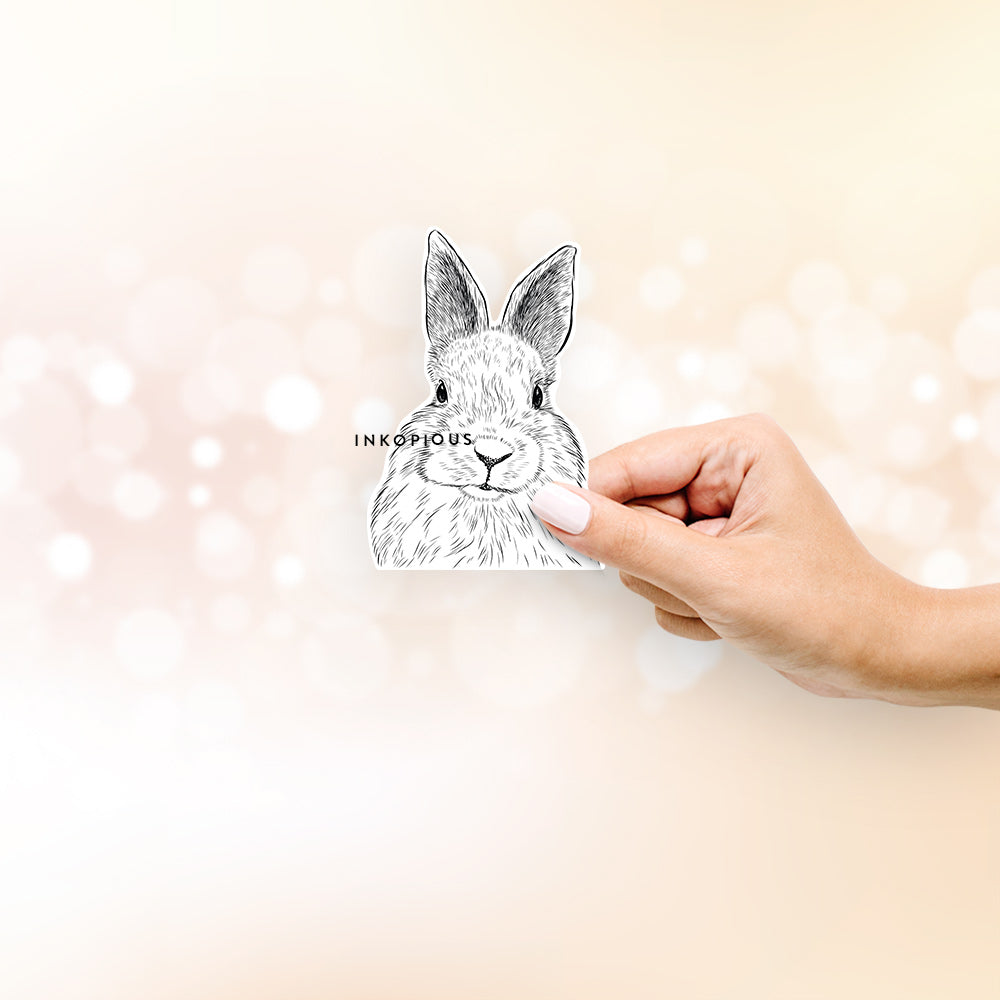 Hand-drawn sketch of Flower the Rex Rabbit on a decal sticker