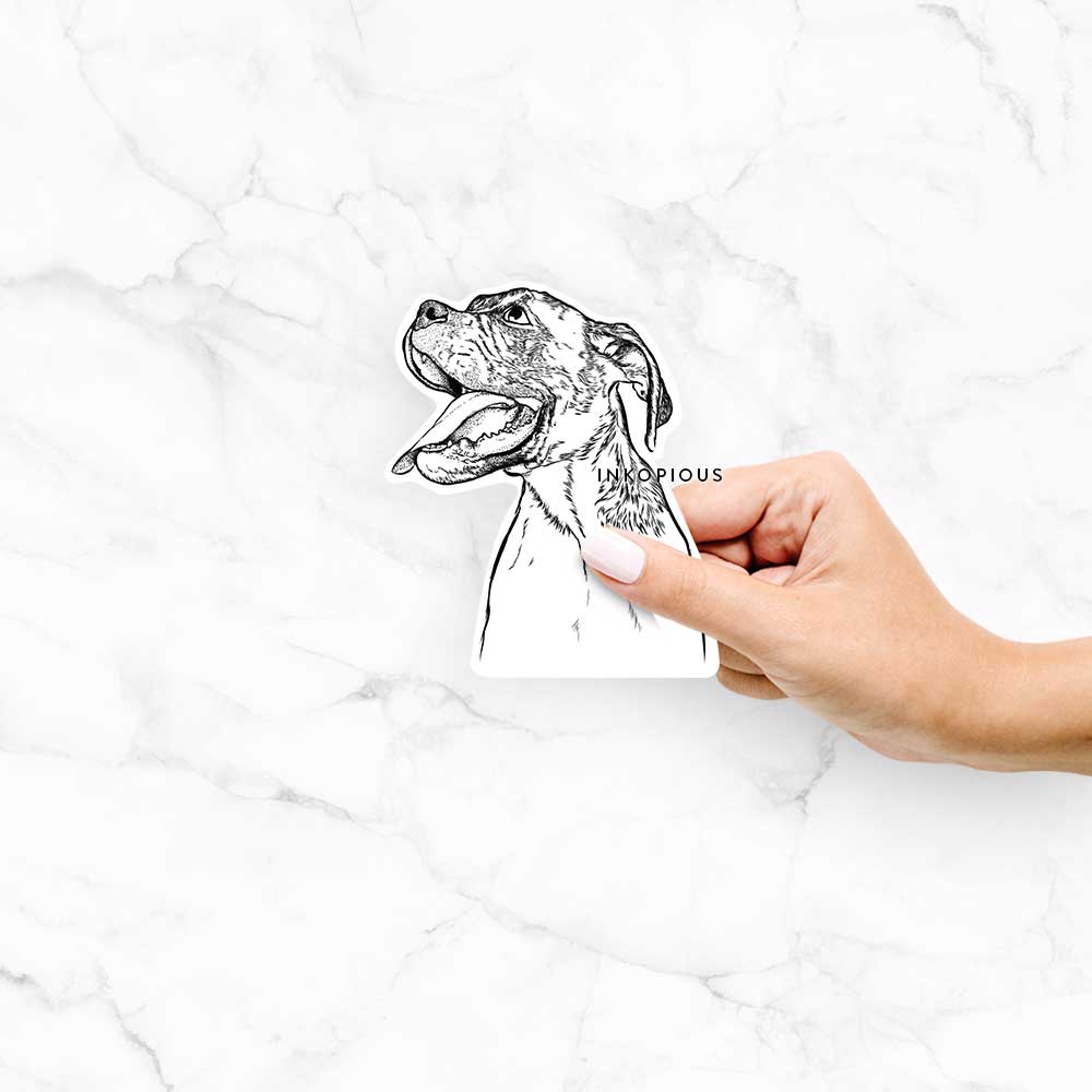 Hand-drawn sketch of Floyd the Boxer on a decal sticker