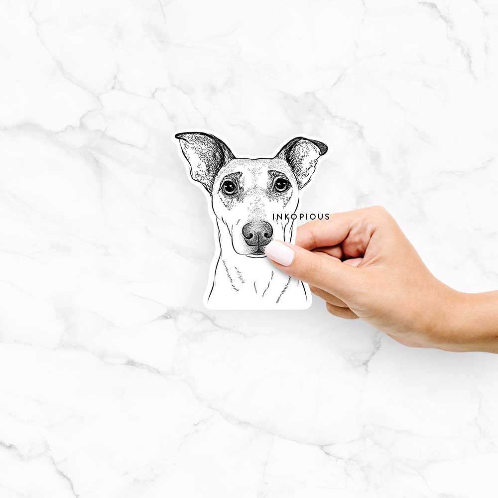 Hand-drawn sketch of Georgie the Rat Terrier Mix on a Georgie Rat Terrier Mix decal sticker