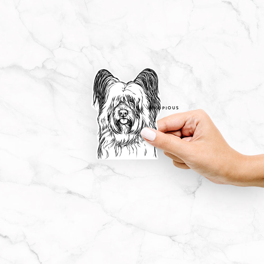 Hand-drawn sketch of Gideon the Skye Terrier on a Gideon Skye Terrier decal sticker