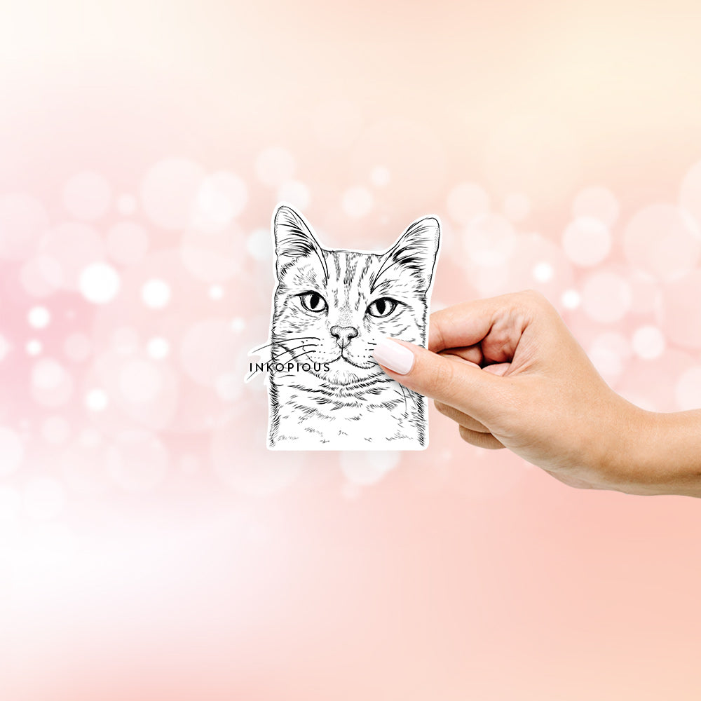 Hand-drawn sketch of Ginger Tom the Tabby Cat on a decal sticker
