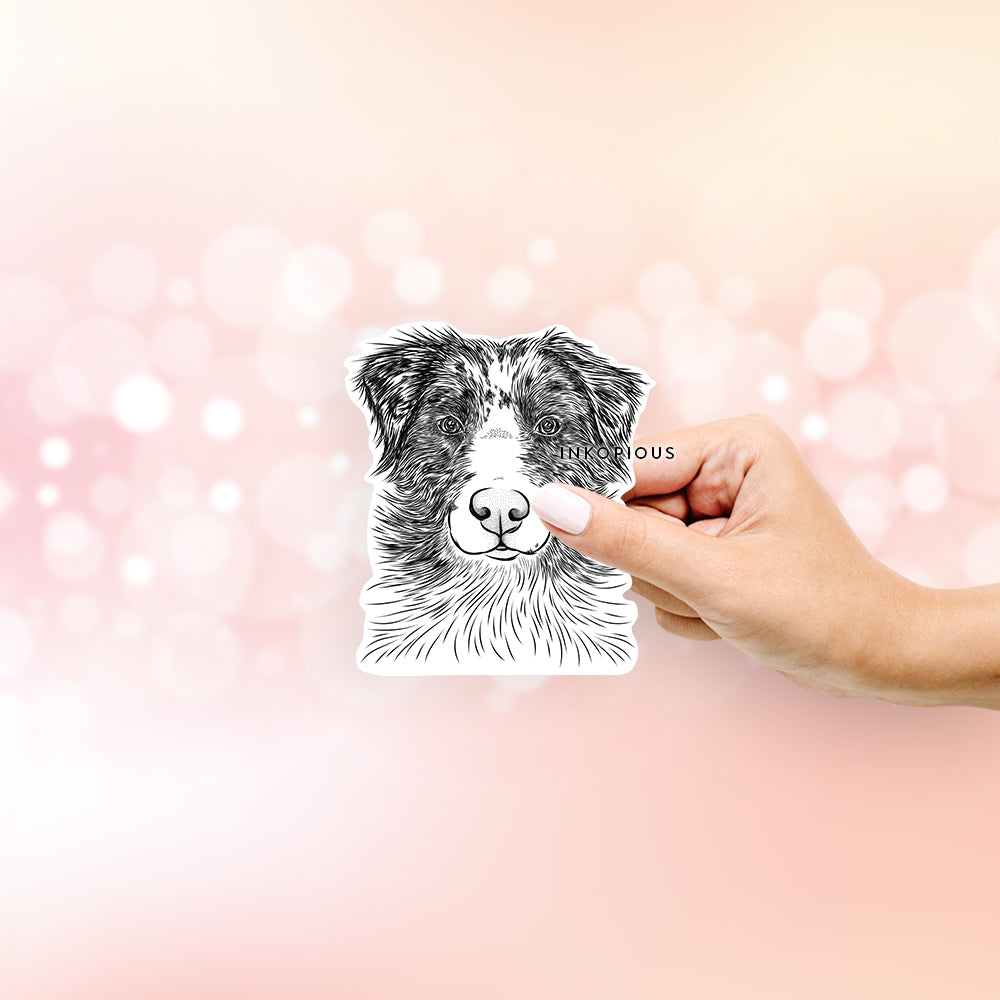 Hand-drawn sketch of Gram the Australian Shepherd on a decal sticker